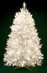 White Christmas Trees