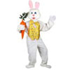 Easter Bunny Costume